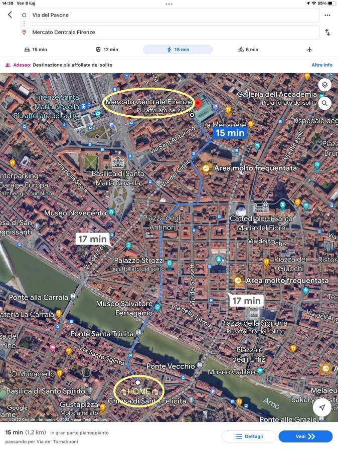 Uffizi & Santo Spirito Family/Groups Apartment Florenz Exterior foto